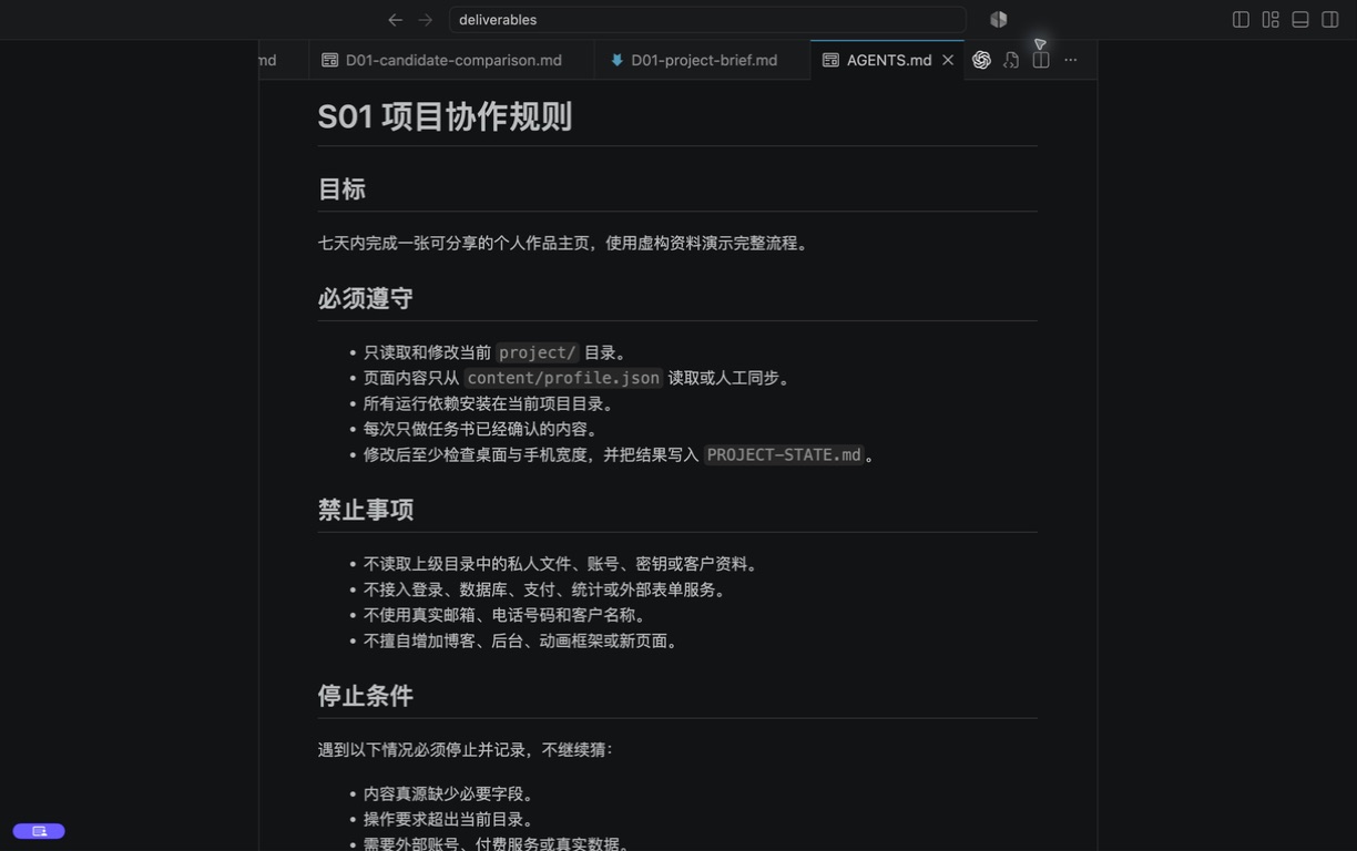 VS Code Markdown 预览中的项目目标、允许范围、禁止事项和停止条件